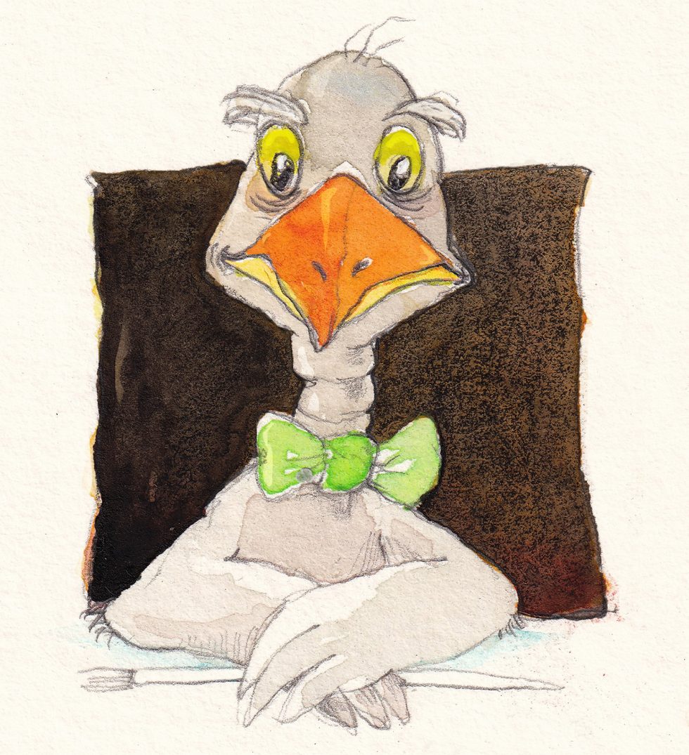 Johanna Voss Freie Illustration